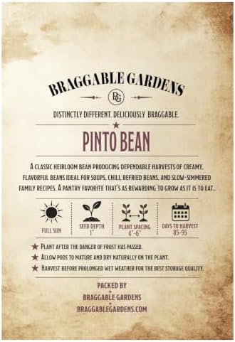 Pinto Bean Seeds for Planting, Heirloom Dry Bean Vegetable Seeds, Creamy Flavorful Beans for Soups, Chili, Refried Beans, Slow-Simmered Recipes and Pantry Storage - Image 3