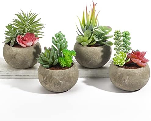 Succulents Plants Artificial 4 Pack, Mini Fake Succulents in Pots, Assorted Small Faux Succulent Decorative for Living Room Home Office Decor by SPEPLA