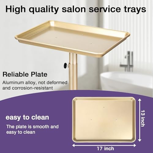 Champagne Gold Salon Tray, Salon Rolling Tray with Adjustable Height - Image 3