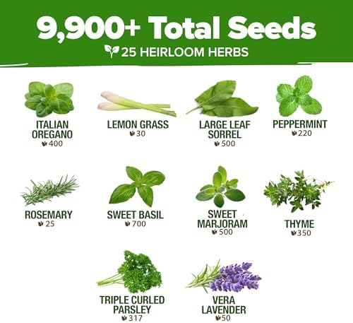 HOME GROWN 25 Herb Variety Pack 9,900+ Seeds Extra Large Culinary Kit - Image 4
