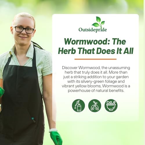 Outsidepride Wormwood Seeds - 10000 Pcs. Perennial, Easy to Grow & Drought Tolerant, Herb Seeds for Planting Aromatic, Delicate Gray-Green Foliage, Great for Landscaping & Xeriscaping Herb Gardens - Image 5