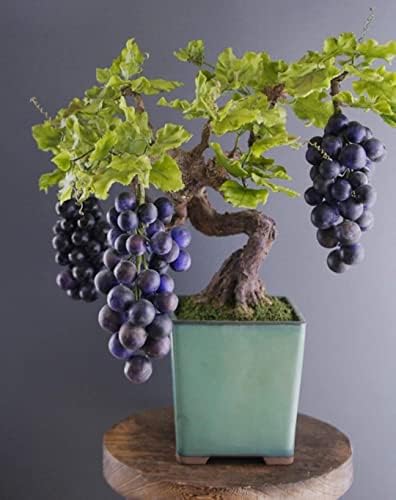Grape Bonsai Tree Seeds for Planting - 50+ Seeds by CZGrain