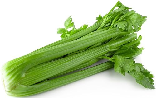2000 Celery Seeds for Planting - Tall Utah 52-70 - Heirloom, Non-GMO, USA Grown by RDR Seeds by RDRSeeds