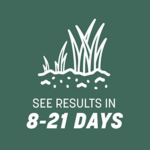 Pennington Kentucky 31 Tall Fescue Penkoted Grass Seed 3 lb, Green (Pack of 2) - Image 7