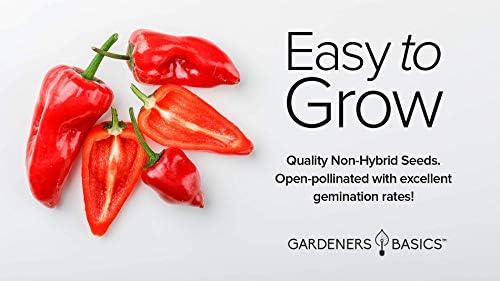 Gardeners Basics Serrano Pepper Seeds for Planting Heirloom Non-GMO Ancho Peppers Plant Seeds for Home Garden Vegetables Makes a Great Gift for Gardening - Image 4