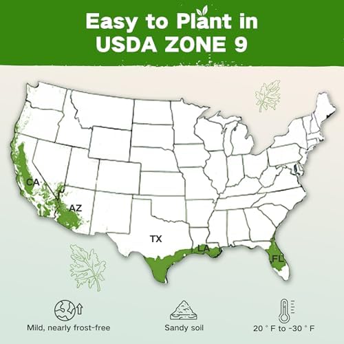 Lush&Dew Zone 9 Seed Bank, Gardening Gifts for Women Men, 32 Type USA Seeds - Image 2