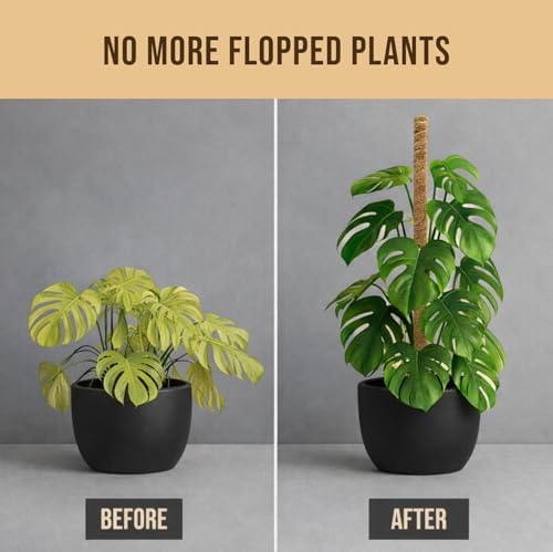 Craft911 29" Moss Pole Monstera Plant Support, Indoor Plant Stakes - Image 7