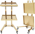 2 Tier Metal Rolling Cart, Foldable Utility Carts, Salon Tray Trolley by Pinelicorn