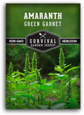 Green Garnet Amaranth Seeds for Planting - Survival Garden Seeds (1 Pack) by SurvivalGardenSeeds