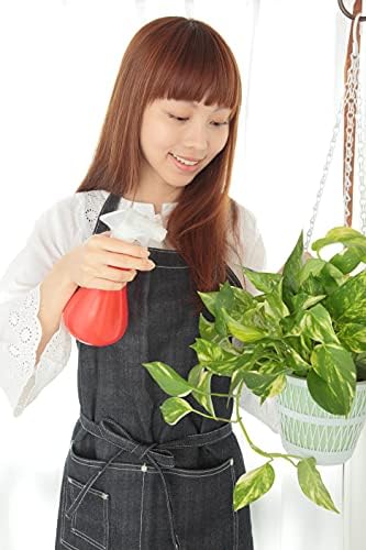 American Plant Exchange Marble Queen Pothos – Live 6-Inch Pot, Bright Green Trailing Vine, Easy-Care Air Purifying Houseplant for Hanging Planters, Shelves & Indoor Home or Office Décor - Image 4