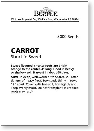 Burpee Short 'n Sweet Carrot Seeds 3000 seeds - Image 2