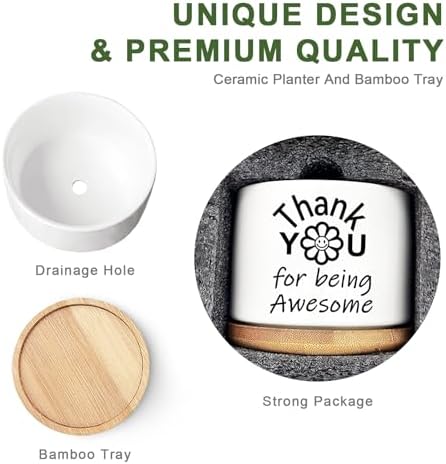 Thank You Gifts for Women, Succulent Planter, Flower Cactus Plant Pot, Employee Appreciation Gifts for Coworkers Nurse Friends Women, Thank You for Being Awesome (No Plants) - Image 3