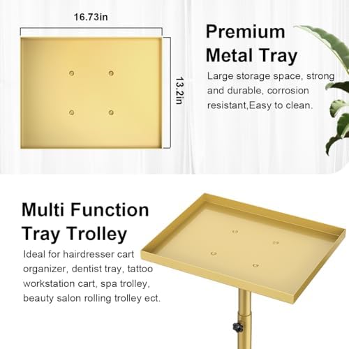 Salon Rolling Tray Hair Stylist Tray Cart, Tattoo Tray Dental Tray Adjustable Height, Metal Service Tray Trolley, Medical Storage Tray Cart Rolling Trolley (Champagne Gold) - Image 2