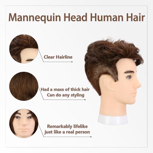 10" Brown Male Mannequin Head with 100% Real Human Hair, Professional Barber Mannequin Head Cosmetology Manikin Training Head for Haircut Styling Practice with Free Clamp Stand (Dark brown) - Image 4
