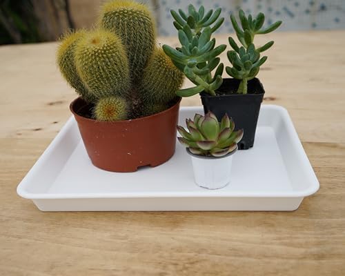 VUWEZ Rectangle Plant Tray, Plant Drip Tray, Plant Pot Saucers, Plant Germination Trays, Plant Saucers, 14.5'' x 11'' x 1.5'' (2 pack), Creamy White - Image 4