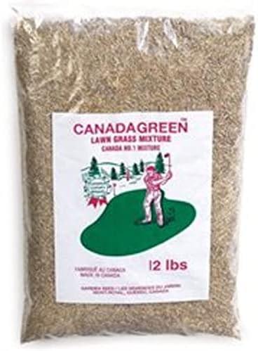 Canada Green Grass Lawn Seed - Grows Healthy Rich Green Grass Lawn Seed Plants Yard Garden 12 Pound Bag by UsolvebyCanadaGreen%C2%AE