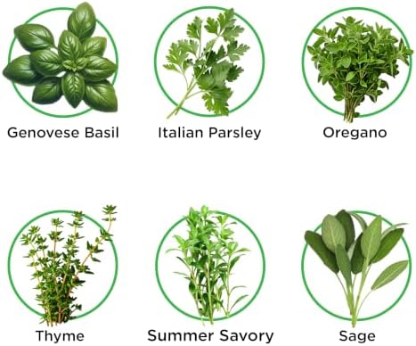 Italian Herbs Seed Pod Kit - Pre-Seeded & Hand Made in the USA - Image 2