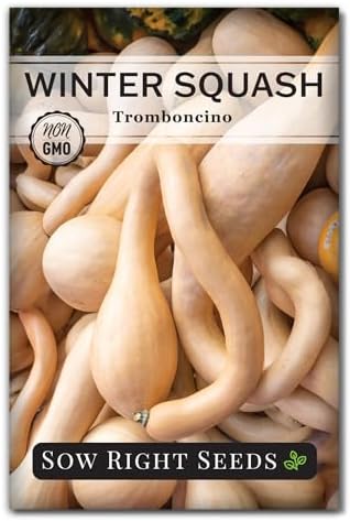 Sow Right Seeds - Rampicante Tromboncino Squash Seed for Planting Garden by SowRightSeeds