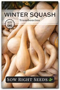 Sow Right Seeds - Rampicante Tromboncino Squash Seed for Planting Garden by SowRightSeeds