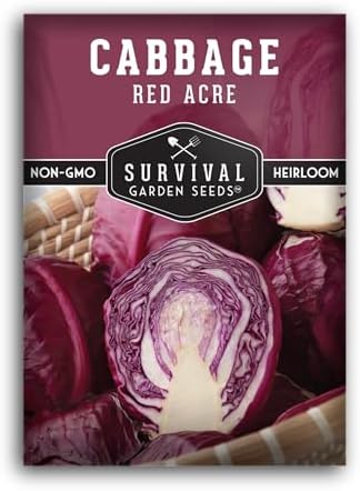 Red Acre Cabbage Seeds for Planting – Survival Garden Seeds (1 Pack) by SurvivalGardenSeeds