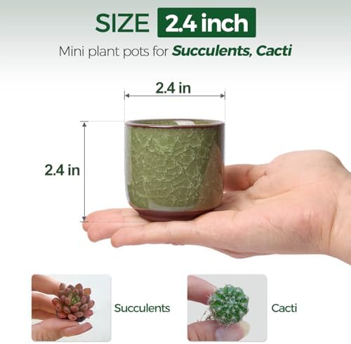 T4U Mini Succulent Pots, Small Ceramic Planters, Retro Gift Set of 6 - Image 2