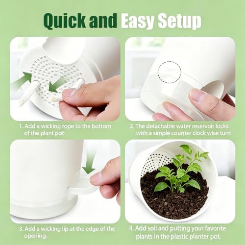 10 Indoor Herb Garden Kit, 54pcs Complete Kitchen Herb Starter Set Including 2-Color Self Watering Pots, Soil & Tools, Unique Gift Ideas for Plant Lovers, Women, Men, Friend, Birthday, Housewarming - Image 5