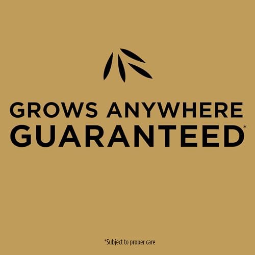 Scotts EZ Seed Patch & Repair Sun and Shade, 40 lbs. - Image 7