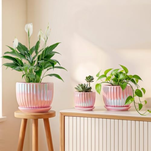 Ceramic Plant Pots 4+5.5+6.7 Inch Indoor Planters with Drainage & Saucers - Image 6