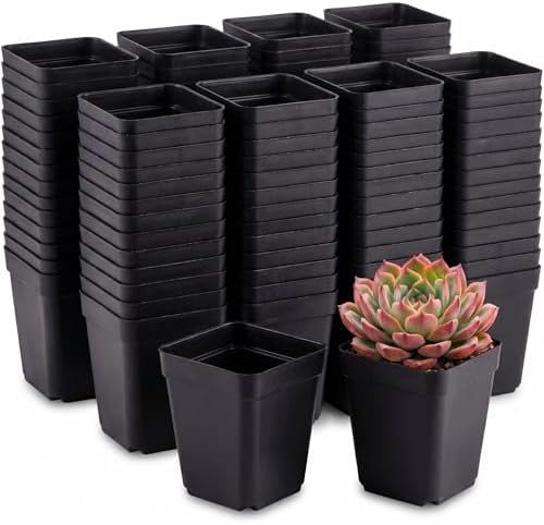 300 Packs Square Nursery Pots for Plants 2.2 Inch Seedling Pots by Unknown