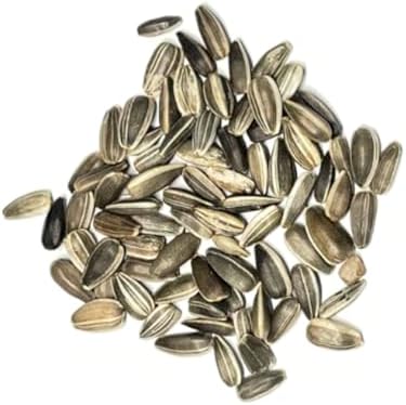 Seed Needs Incredible Dwarf Sunflower Seeds to Plant Cut Flowers - 2 Packs - Image 6