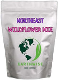 Earthwise Northeast Native Wildflower Seed Mix - 1/4 lb, 500 sq ft by EarthwiseSeedCompany