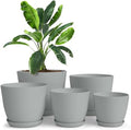 Plant Pots Indoor with Drainage, 5 Pack Multi-Size Planters Set, Grey by UTOPIAHOME