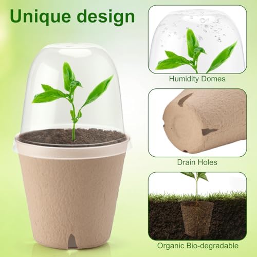 36 Set 3.15 Inch Peat Pots Plant Starters for Seedling with Humidity Dome - Image 3