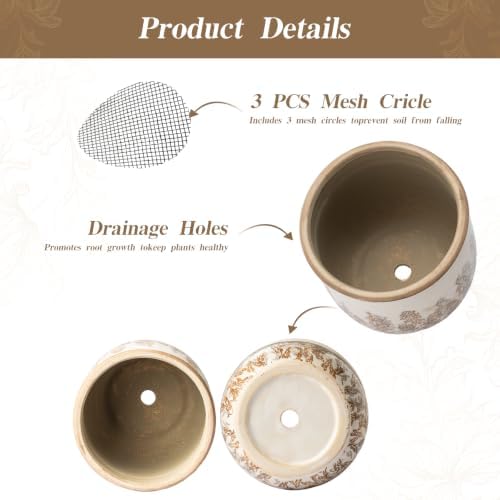 Ceramic Plant Pots Set of 2, 4.7+5.7 Inch Vintage Indoor Planters with Drainage Hole, Farmhouse Ceramic Flower Pots for Indoor Plants, Rustic Cottage Decor for Home Kitchen Garden, Brown - Image 4