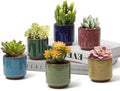 T4U Mini Succulent Pots, Small Ceramic Planters, Retro Gift Set of 6 by T4U