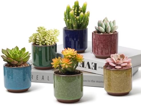 T4U Mini Succulent Pots, Small Ceramic Planters, Retro Gift Set of 6 by T4U