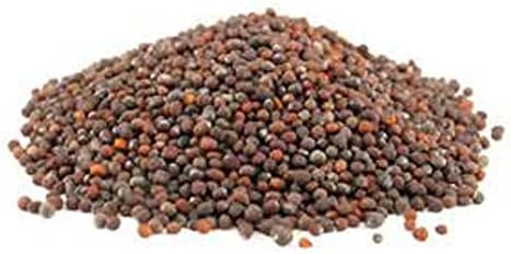 Non-GMO Broccoli Seeds for Sprouting Sprouts Microgreens (12oz of Pure Seed (60000+Seeds)). Country Creek LLC. Brand. - Image 3