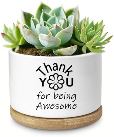 Thank You Gifts for Women, Succulent Planter, Flower Cactus Plant Pot, Employee Appreciation Gifts for Coworkers Nurse Friends Women, Thank You for Being Awesome (No Plants) by Aryabtya