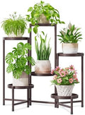 6 Tier Large Plant Stand Indoor Outdoor, 10 Inch Tray, Bronze by iDavosicly