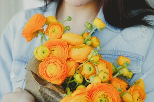 6 Mixed Color Ranunculus Bulbs for Planting, Assorted Pastel Double Buttercups, Spring or Fall Planting Bulbs for Vibrant Garden Blooms, Borders & Cut Flower Garden, Rose Bulb Wedding Flower Bulbs - Image 4