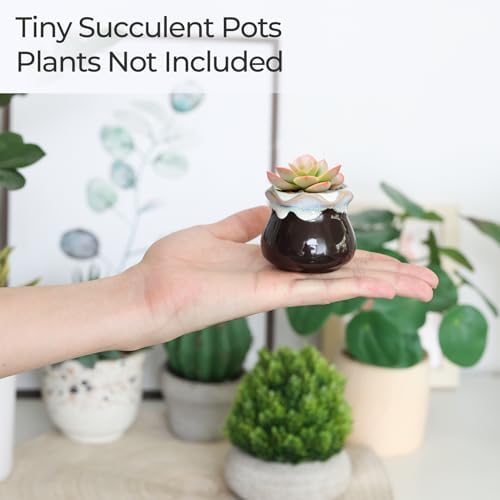 T4U Mini Ceramic Succulent Pots, Small Gift Planters, Retro Decor Set of 12 - Image 6