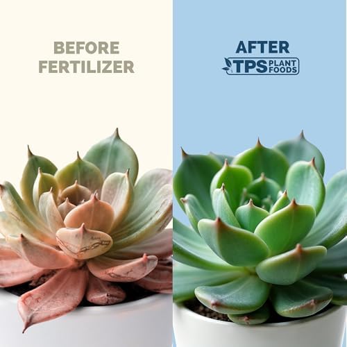 Succulent Fertilizer - Liquid Plant Food for Vibrant, Compact Growth, 8 oz - Image 3