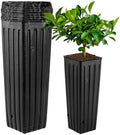 Tree Pots 50 Pcs, 11.2 Inch Deep Nursery Pots with Drainage Holes, Plastic Plant Containers for Citrus Seedlings, Vegetables and Garden Use by YARDWE