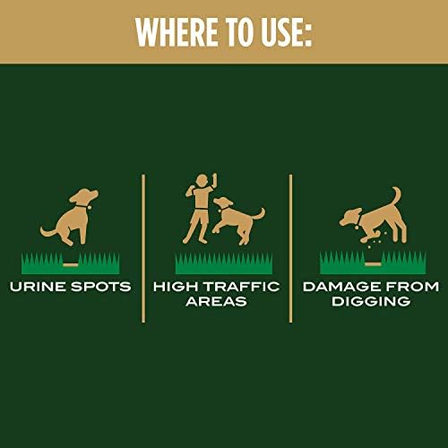 Scotts EZ Seed Dog Spot Repair Tall Fescue Lawns, 2 lbs. (Pack of 6) - Image 5