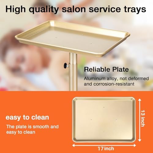 Salon Tray on Wheels, Champagne Gold Salon Tray Cart with Adjustable Height, Hair Stylist Tray, Metal Tattoo Tray, Suitable for SPA and Dental Tray - Image 3