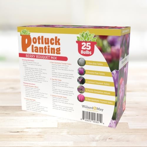 All-in-One Flower Garden Kit - 25 Flower Bulbs Per Box - Potluck Planting Berry Bouquet Mix - Allium and Tulip Mix - Fragrant - Naturalizing - Live Outdoor Garden - Easy to Plant Flowers - Image 3