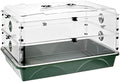 24" x 15" x 12.75" Domed Propagator with 2 Height Extenders and Locking Clip Set, Green by EarlyGrow