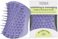 Tangle Teezer Scalp & Shampoo Brush to Exfoliate & Massage, Lavender Purple by TangleTeezer