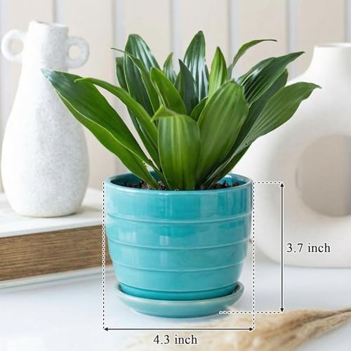 Elsjoy 12 Pack 4.3 Inch Ceramic Succulent Pots with Drainage and Attached Saucer, Small Decorative Succulent Planter Cute Ceramic Flower Pots for Home, Garden - Image 2