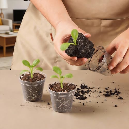 BTPLASTIK 200 Pack 2.5 Inch Clear Nursery Pots with Drainage Hole, Transparent Seed Starter Pots, Sturdy Plastic Plant Pot for Planting Seedlings Vegetables Herbs, Gardening Gifts - Image 5